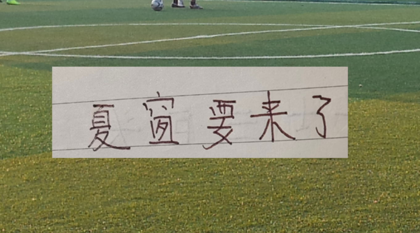尼克斯夺冠纽约全城狂欢